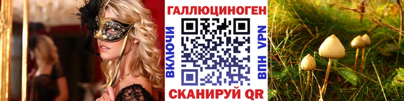 наркотики  Муром  Галлюциногенные грибы GOLDEN TEACHER 